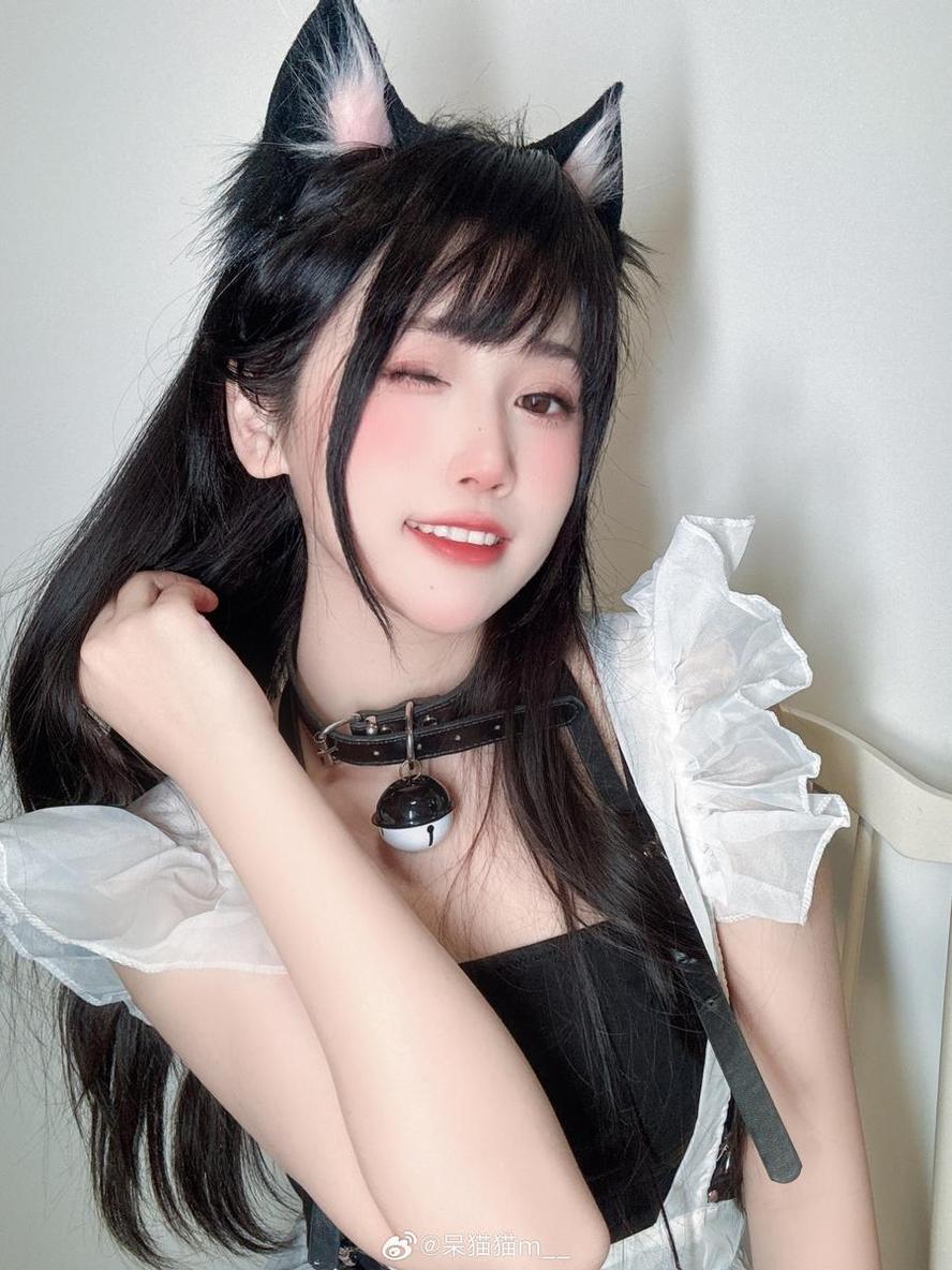无与伦比的不呆猫狐狸摄影照片集
